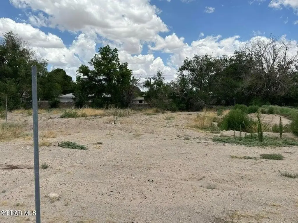 Picture 17