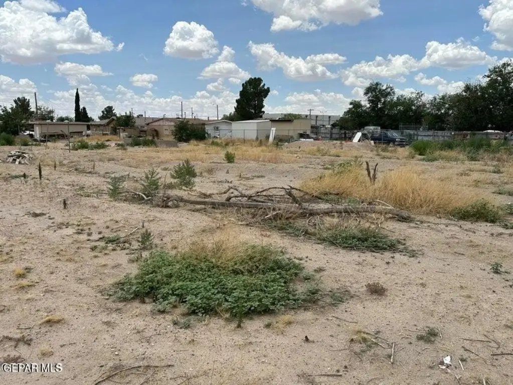 Picture 19