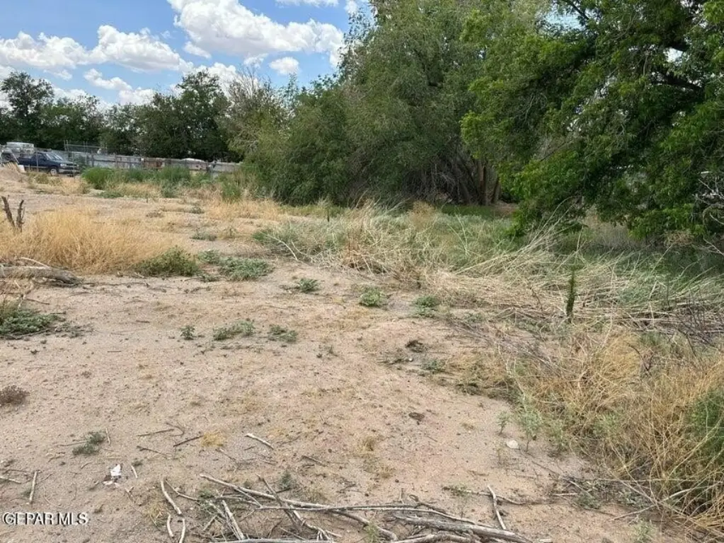 Picture 21