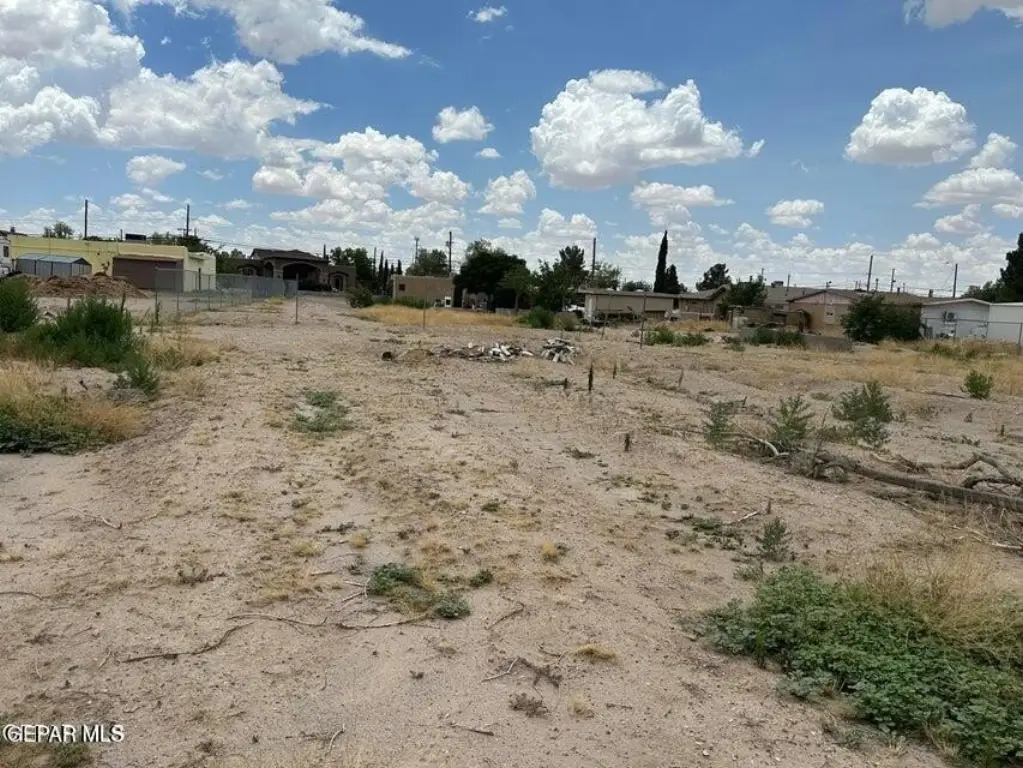 Picture 18