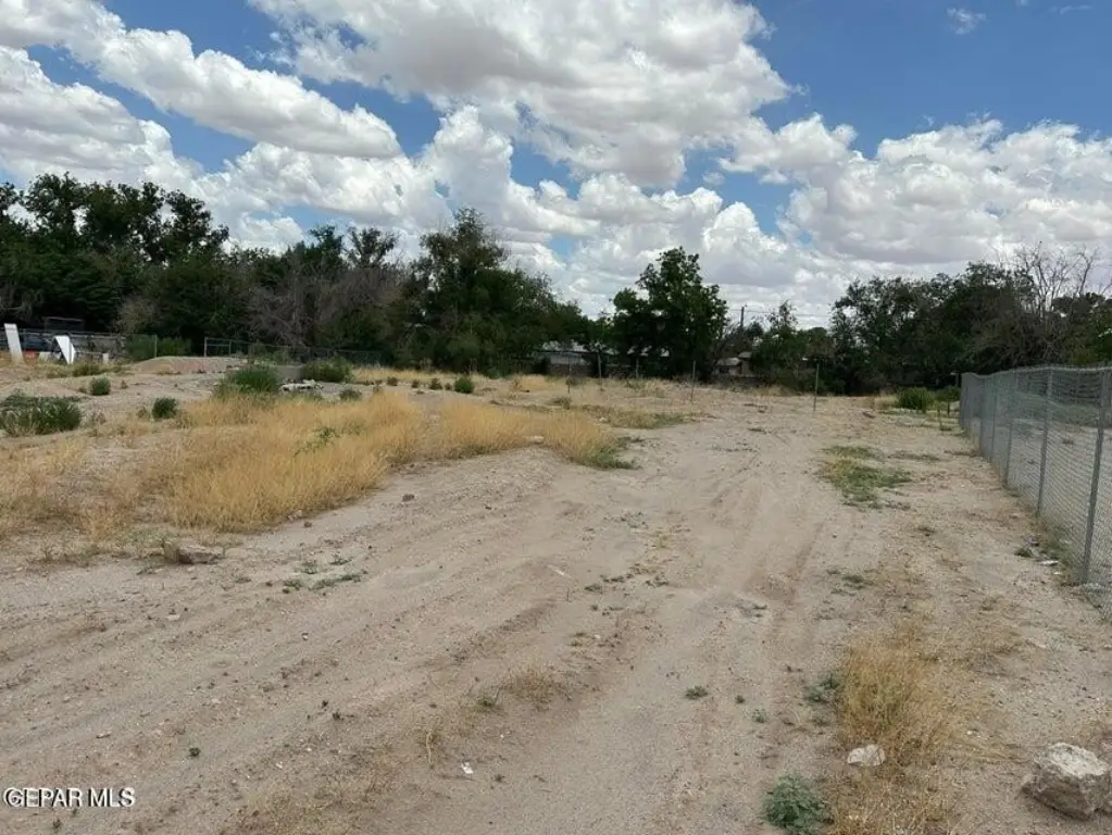 Picture 16