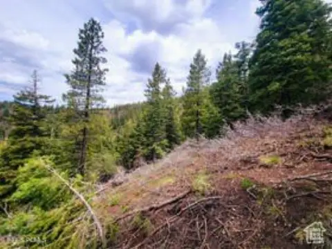 Remote Southern Utah Wilderness Acreage