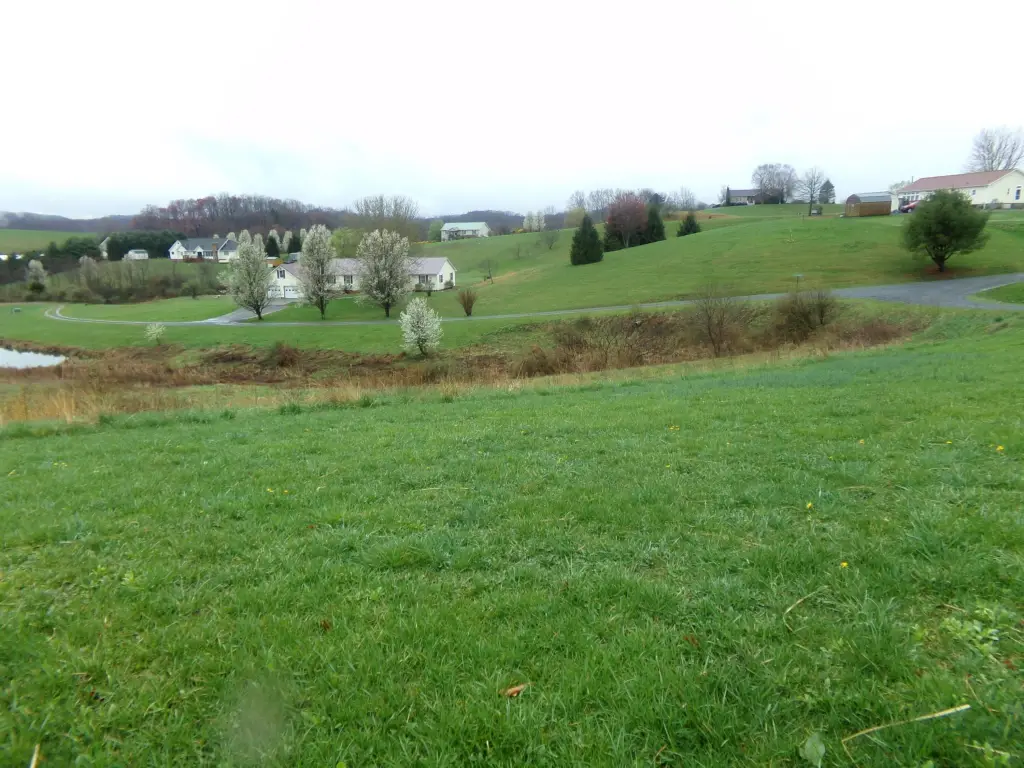 Picture 3