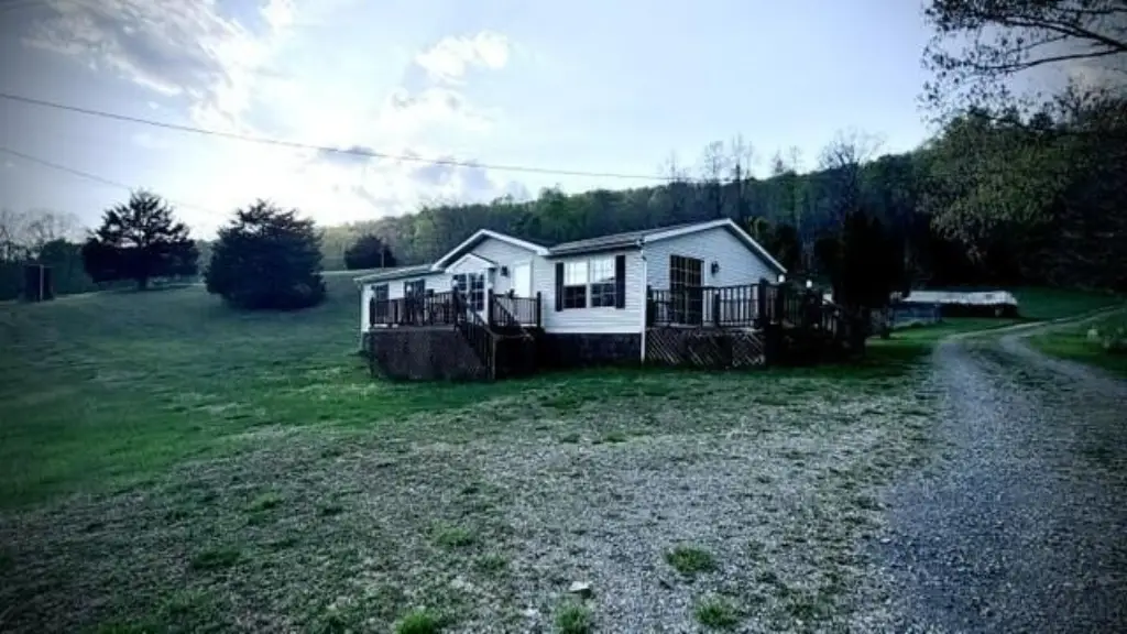 Picture 24