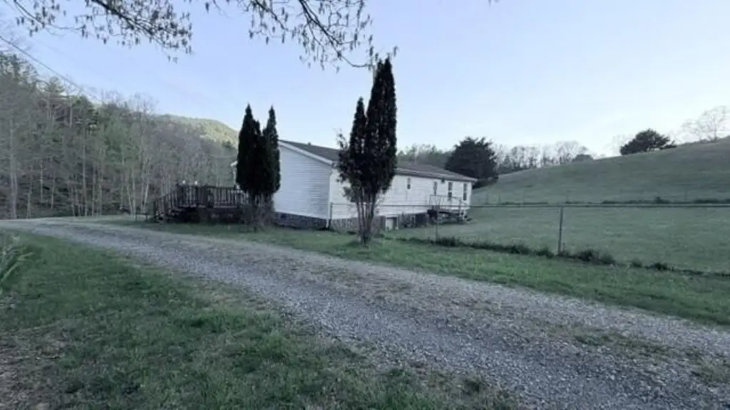 Picture 25