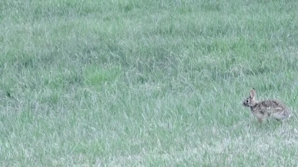Picture 59