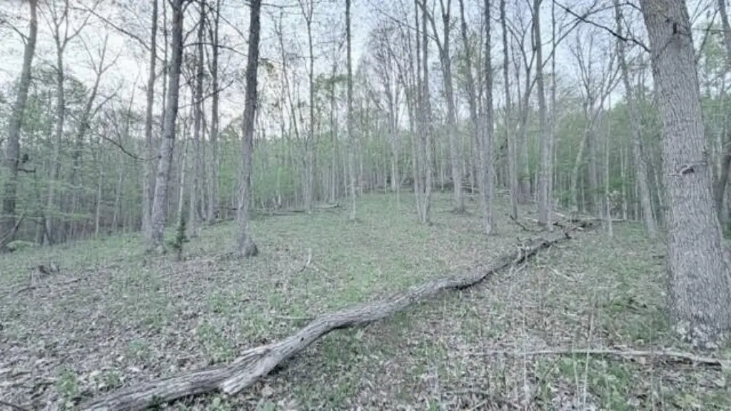 Picture 58
