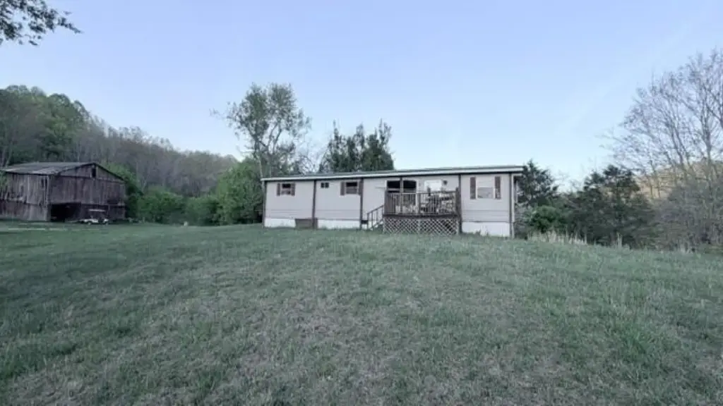 Picture 46