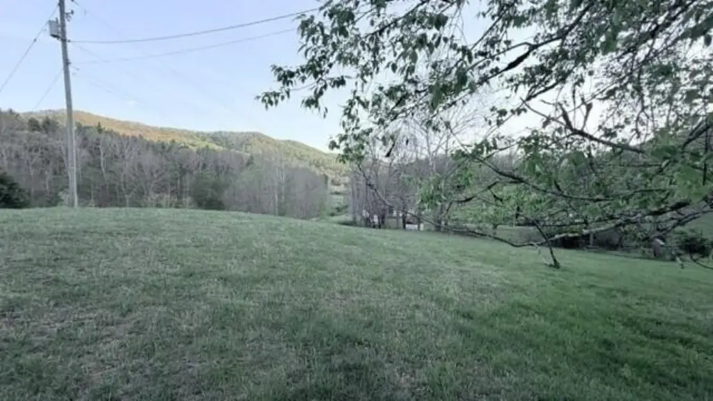 Picture 54