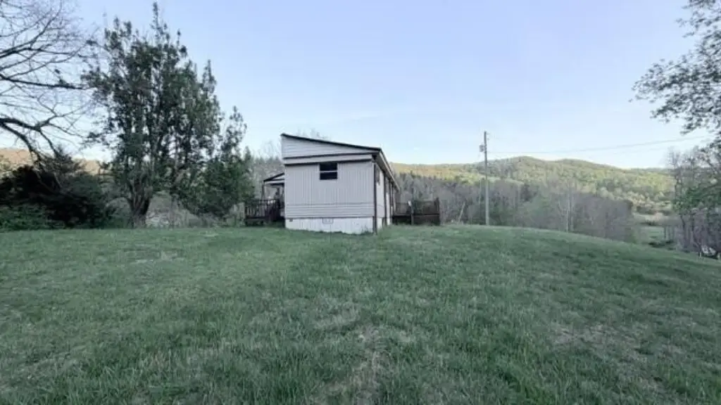 Picture 49