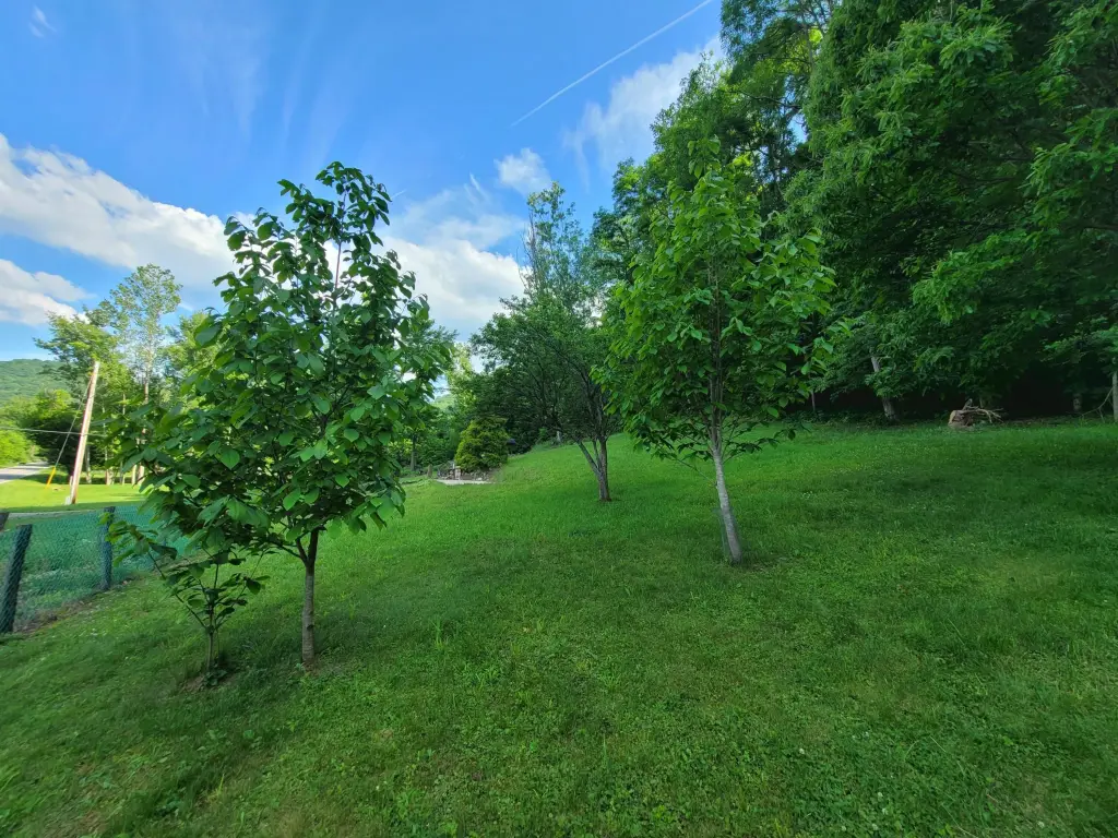 Picture 30