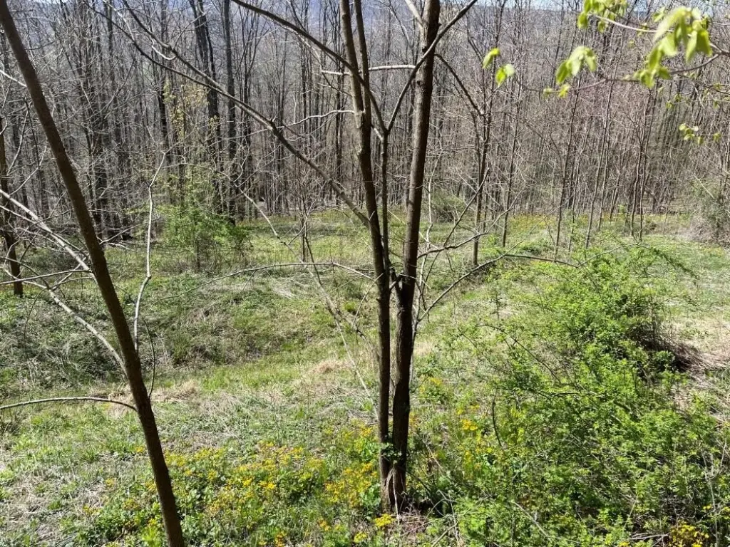 Picture 6