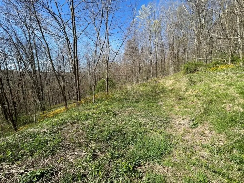 Picture 5