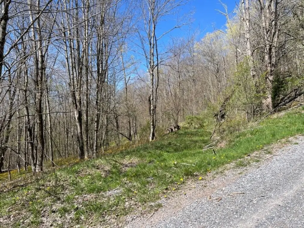 Picture 4