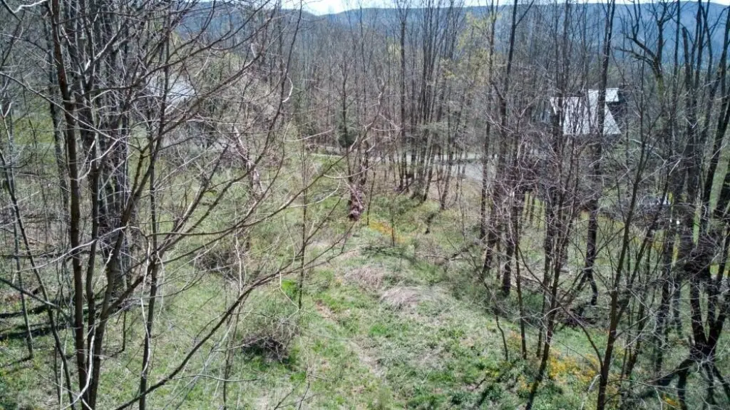 Picture 3