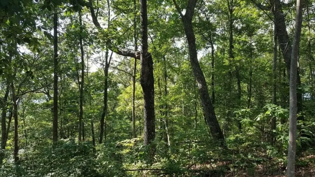 Picture 14