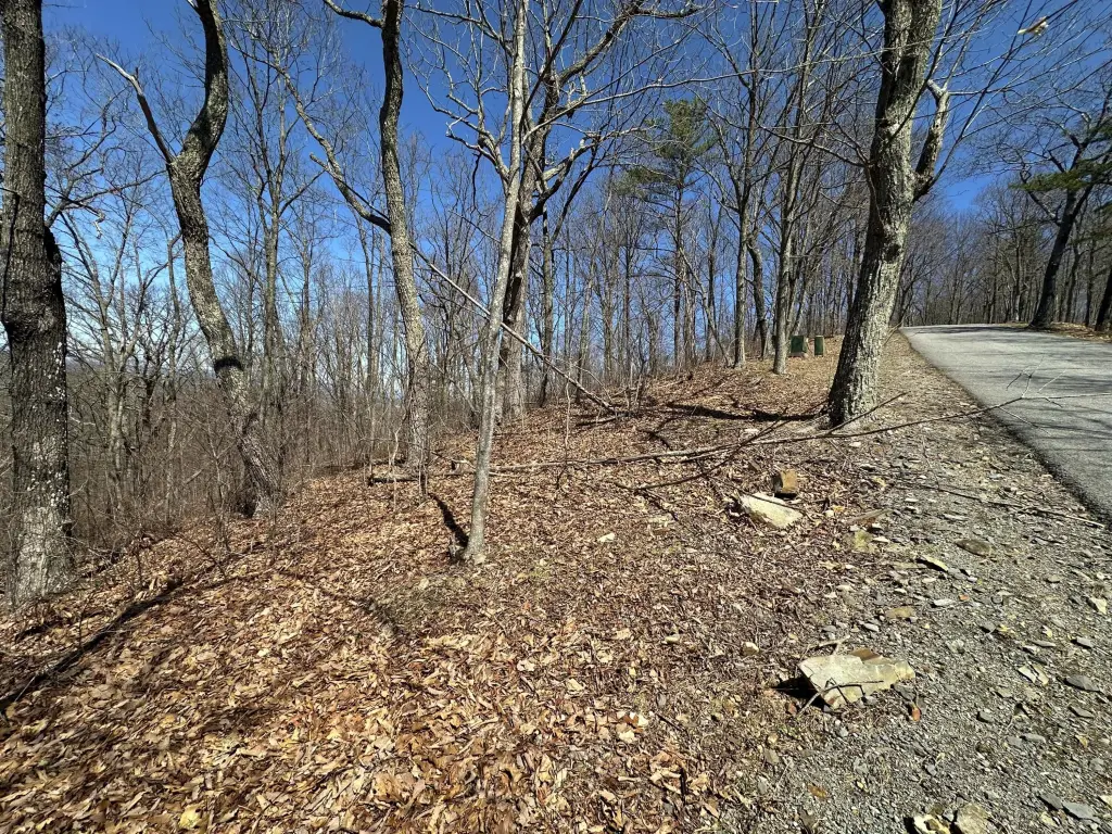 Picture 17
