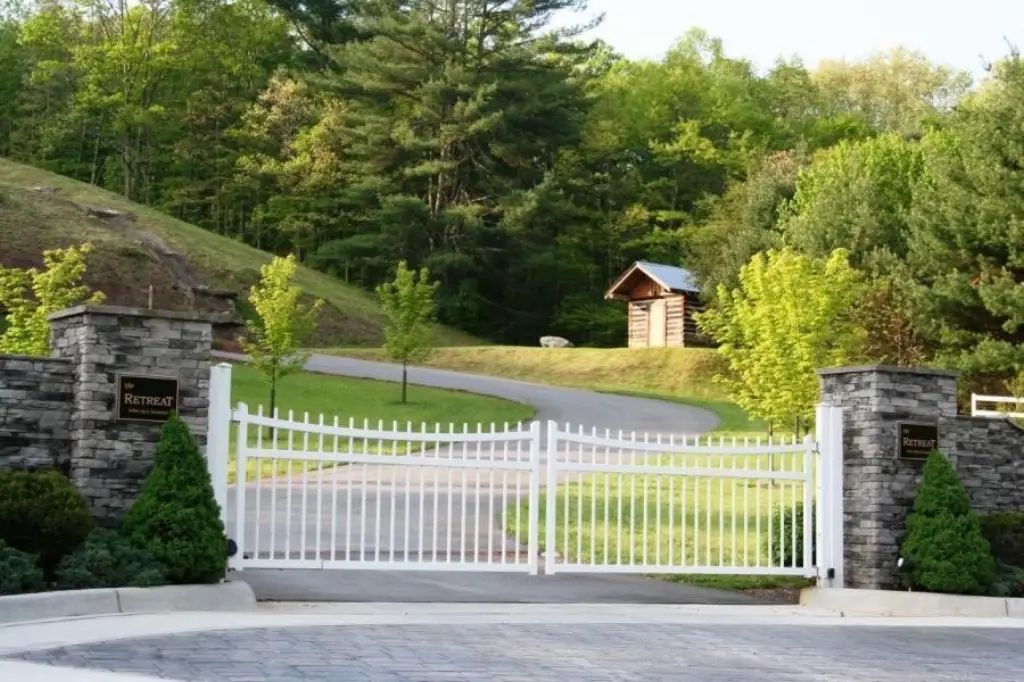 Picture 8