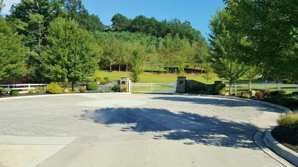 Picture 7