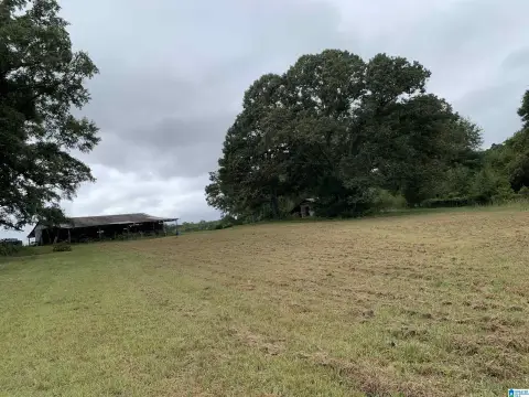 159-Acre Equestrian Property