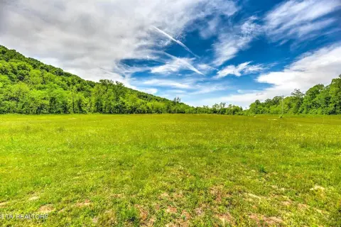 Flat Commercial Land