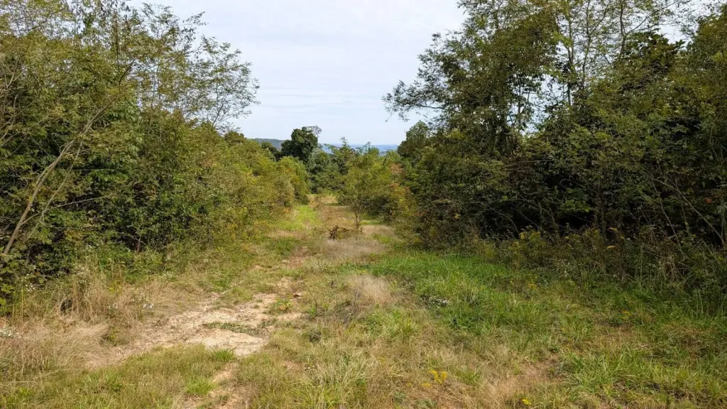 Picture 22
