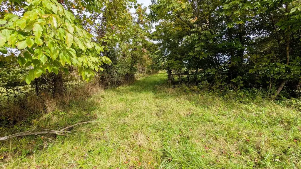 Picture 20