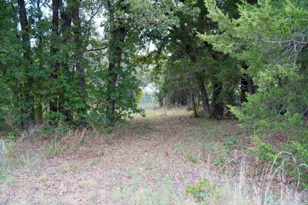 Picture 38