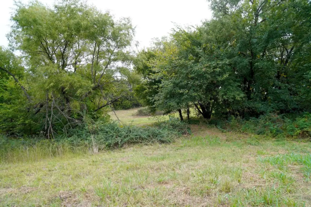 Picture 33