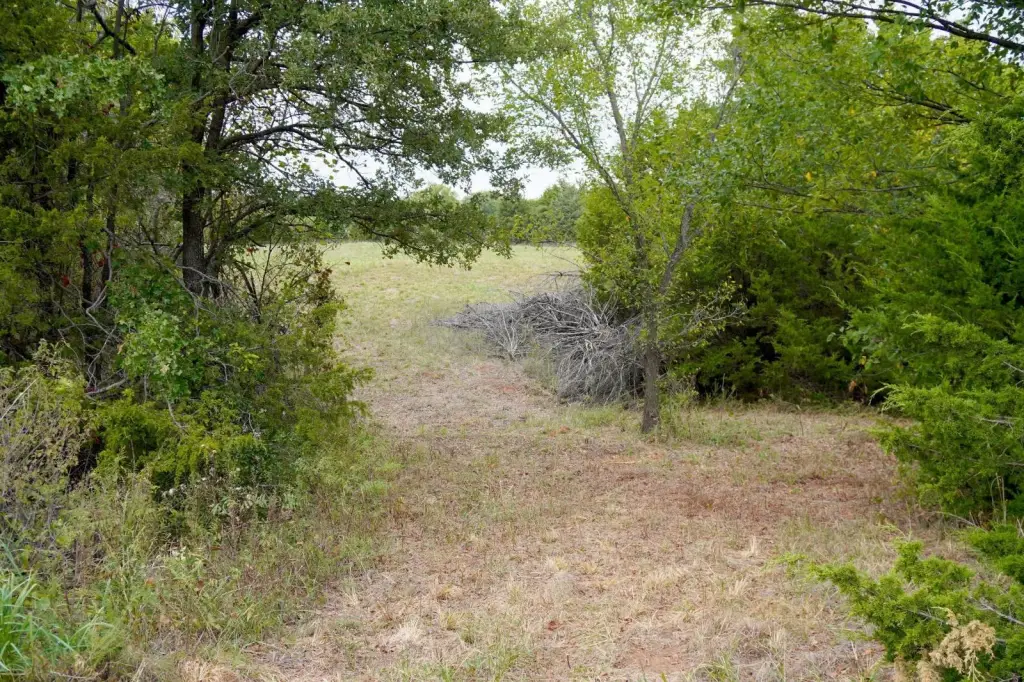 Picture 32