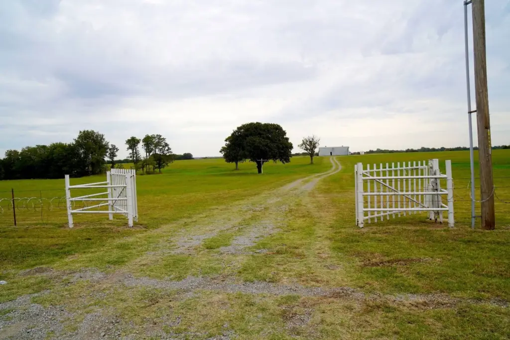 Picture 8