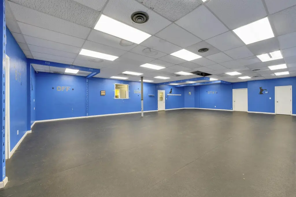 Picture 17