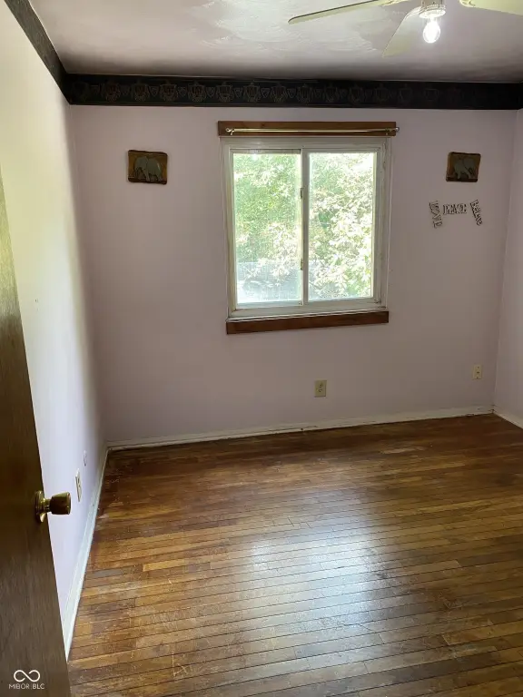 Picture 6