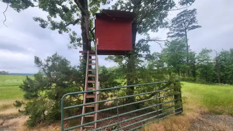 Land Near Ouachita National Forest