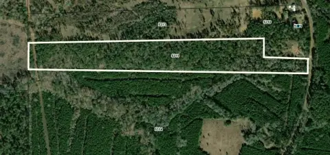 Cushing, TX Wooded Land Tract