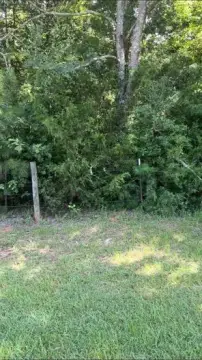 Secluded Acreage in Nacogdoches, TX