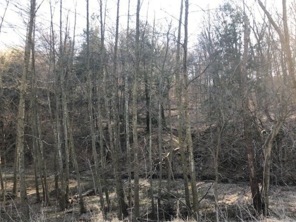 Picture 5