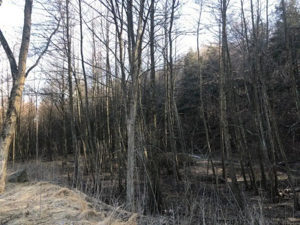 Picture 4