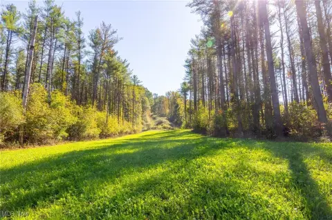 124 Acres Premier Hunting Land