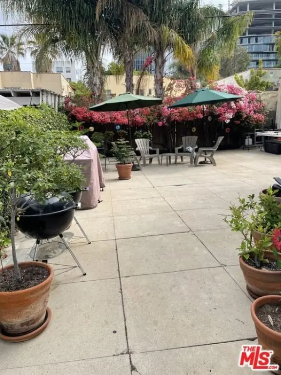 Picture 19