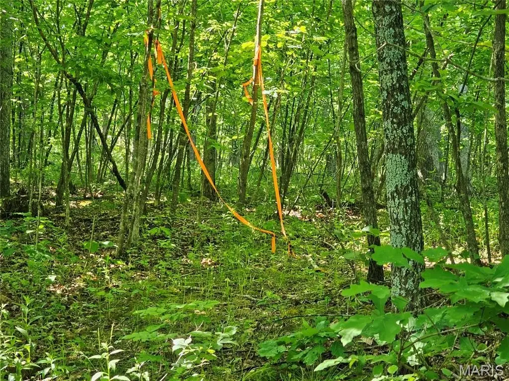 Picture 8