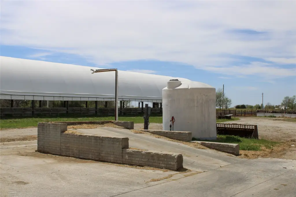 Picture 15