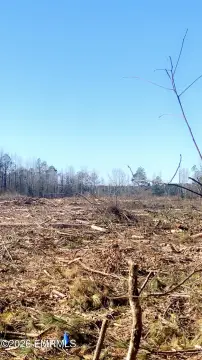 Land Near Neshoba County Fair