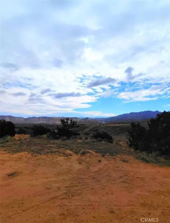 Picture 10