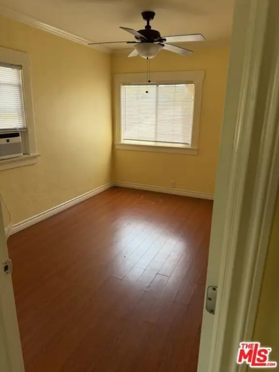 Picture 24