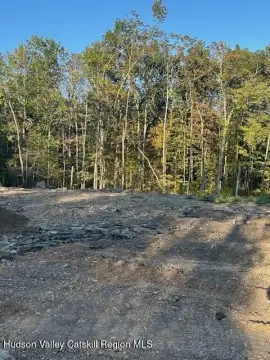 Residential Land in Cairo, NY