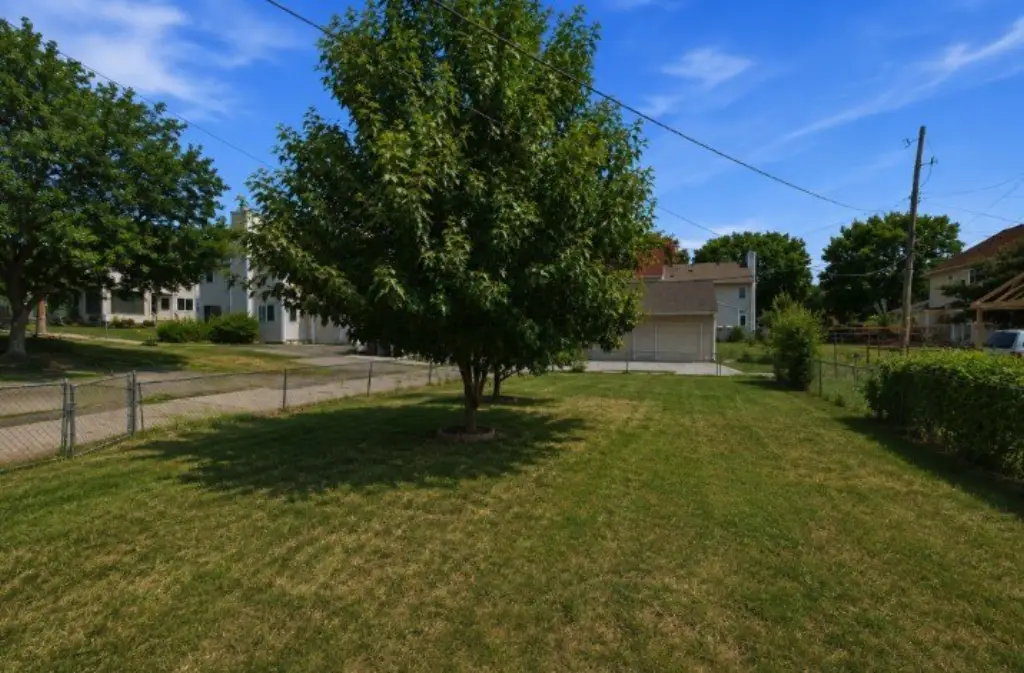 Picture 16