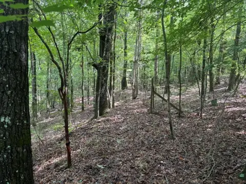 Hamilton, GA Land Parcel