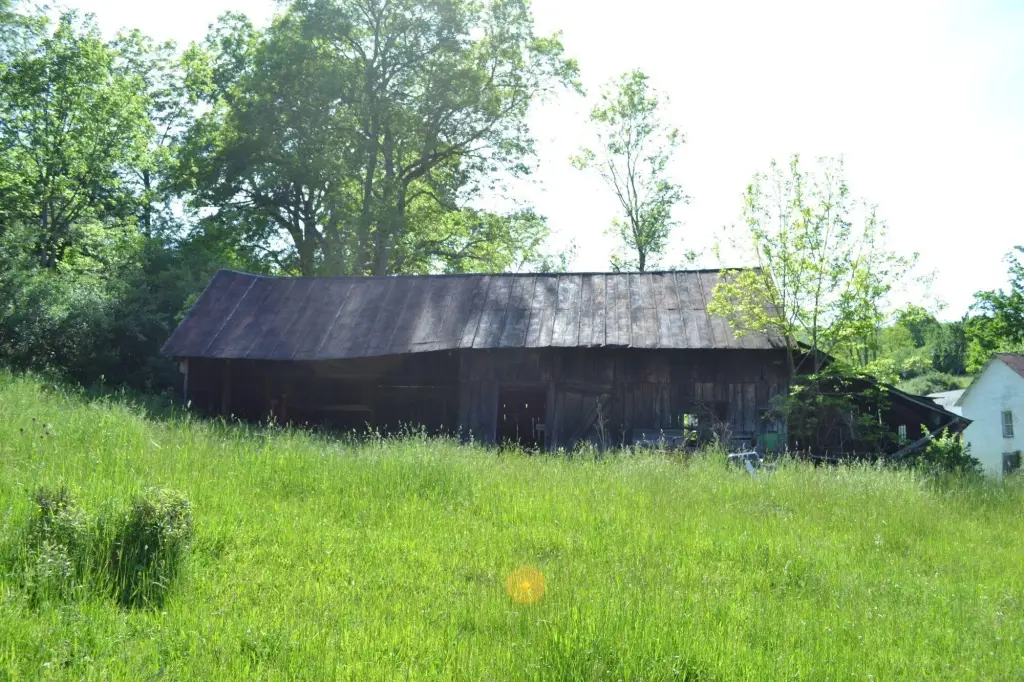 Picture 41