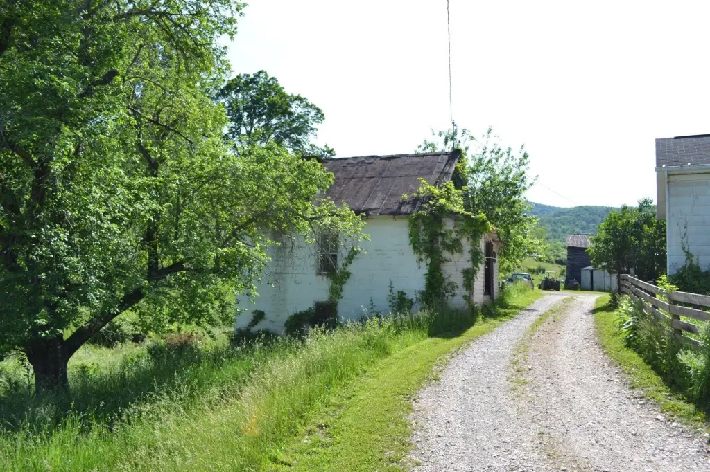 Picture 40